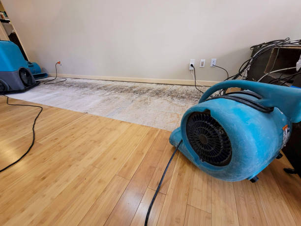Professional Basement Flood Cleanup technician working in Sugar Grove, OH